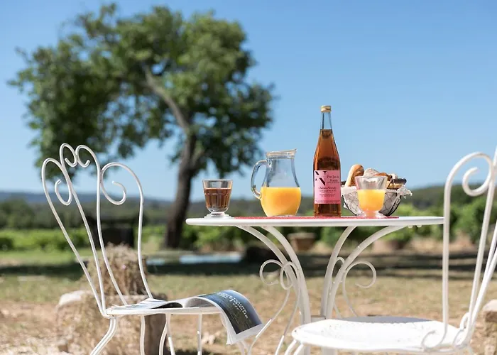 Hôtel bon marché: Chateau Nestuby